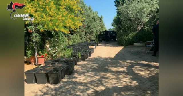 Carabinieri Sestu Serra Marijuana