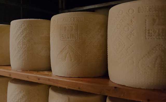 Pecorino Romano Dop