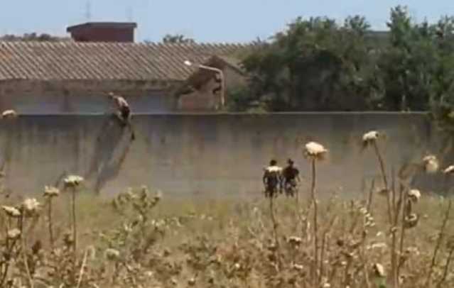 Migranti In Fuga