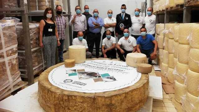 Pecorino Record