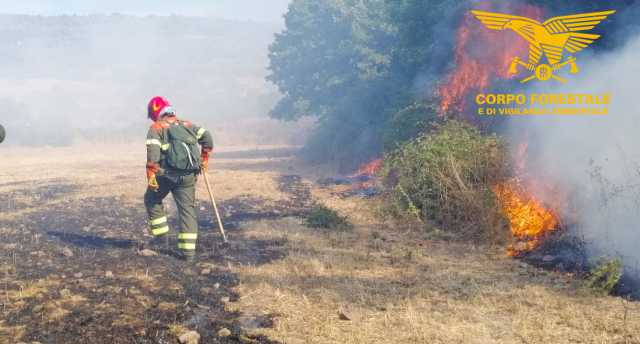 Corpo Forestale Incndi