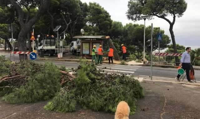 Bogados is opinos dae Arburada Buoncammino: “Su Comune nde isperdet su birde sena nàrrere proite”.