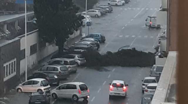 Viale Monastir Tagliata