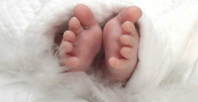 Neonata