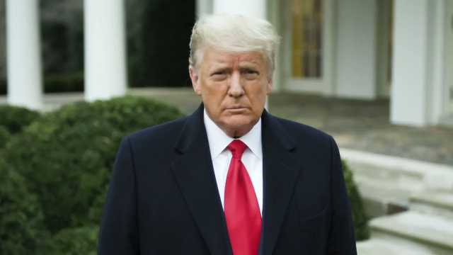 Trump Ai Sostenitori