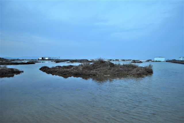 Le Saline In Questi Giorni