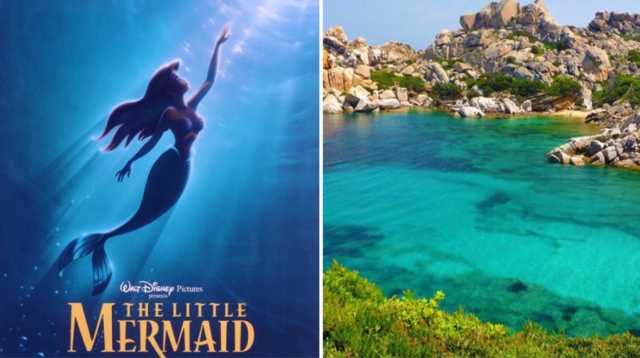 Live Action Disney Sire
