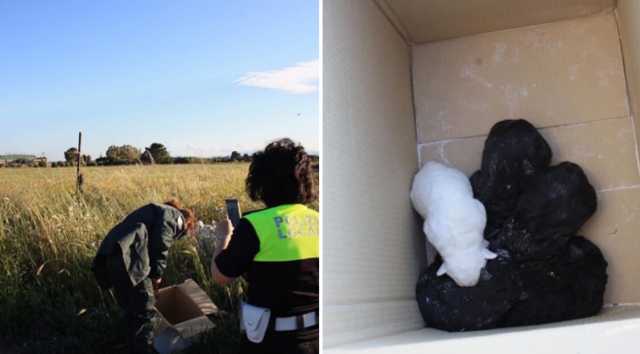 Copia Di Campagna Polizia Cuccioli Mara