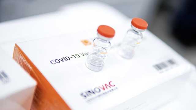 Vaccini D