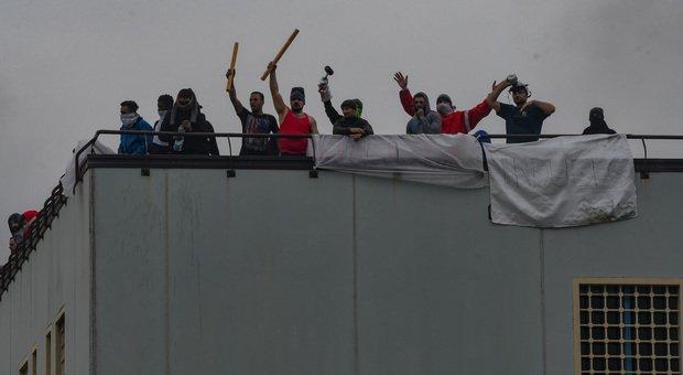 Protesta