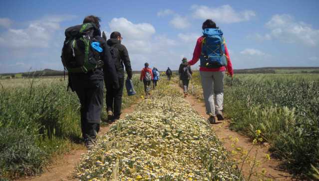 Sinis   Camminantes 