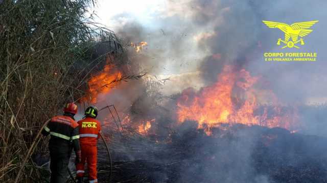 Incendi Sardegna