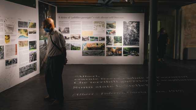 Foto Consorzio Camu   Mostra Architetture Vegetali