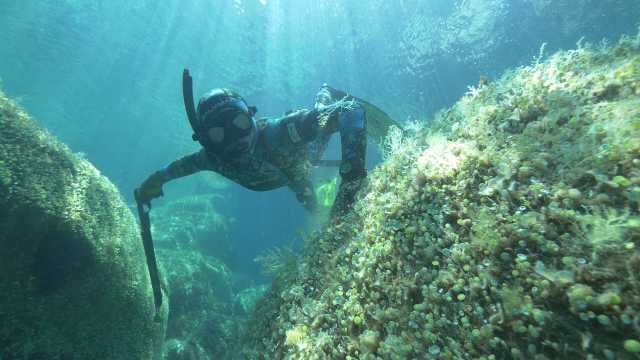 SUB APNEA ISOLA OGLIASTRA OK