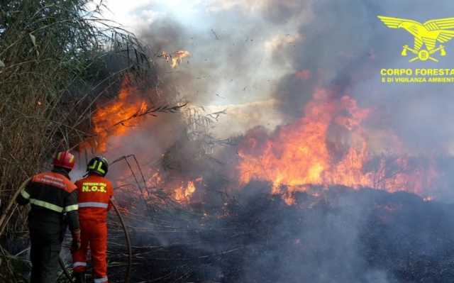 Incendio Sardegna Cagliri Allerta