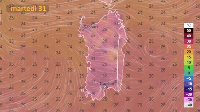MART31