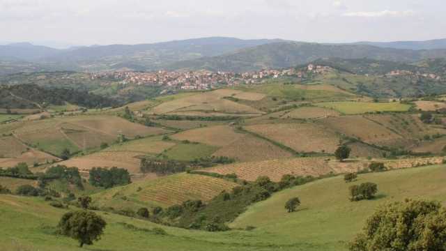 Meana Sardo