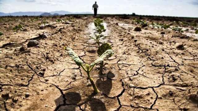 Siccita Agricoltura 1280x720