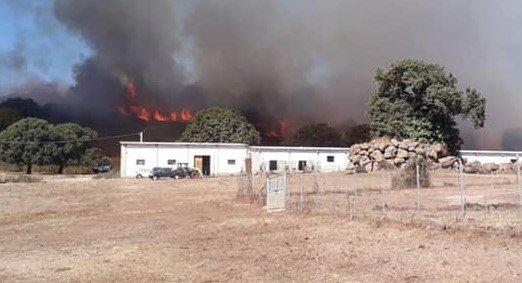Incendio Santu Lussurgiu