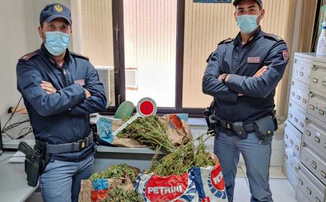 Foto Upgsp Tag