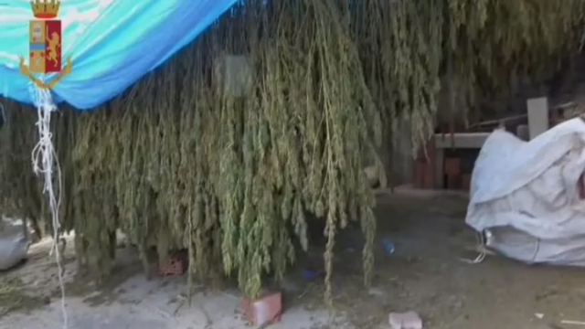 Polizia Oristano Quest Droga