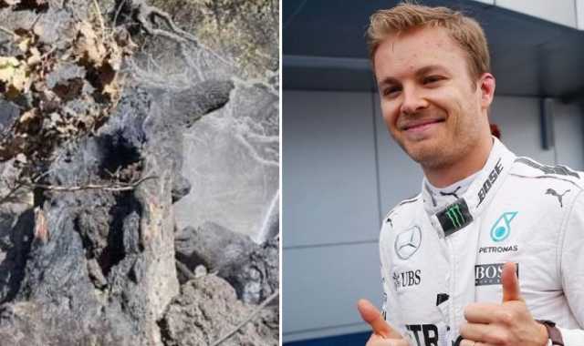 Rosberg Oristano