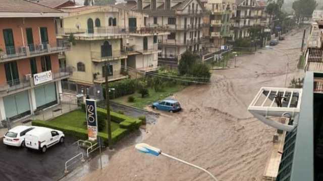 S Cordia
