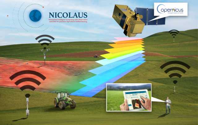 Infografica Nicolaus Def