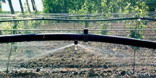 Irrigatori Pioggia