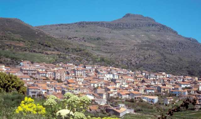 Bortigali