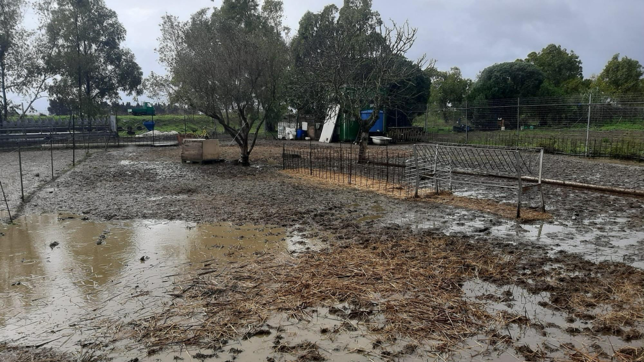 Il terreno sott'acqua 