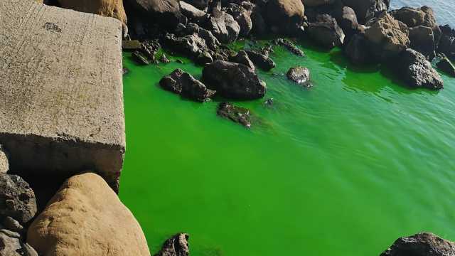 Il  liquido verde