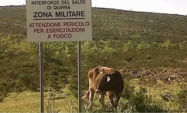 Immagine simbolo 