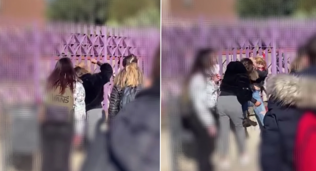 Botte fuori da scuola a Sassari, ragazza presa a pugni in faccia: la folla ride e le incita
