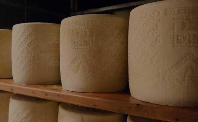 Pecorino Romano
