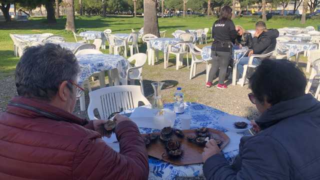 Ricciai a Su Siccu 