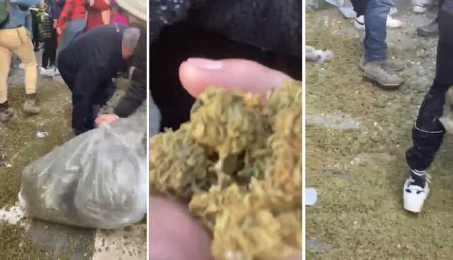 La marijuana in strada a Ovodda