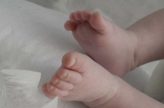 Immagine simbolo