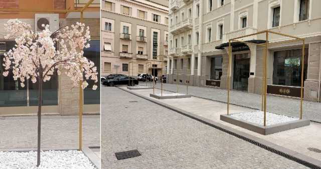 Ciliegi davanti a palazzo Doglio