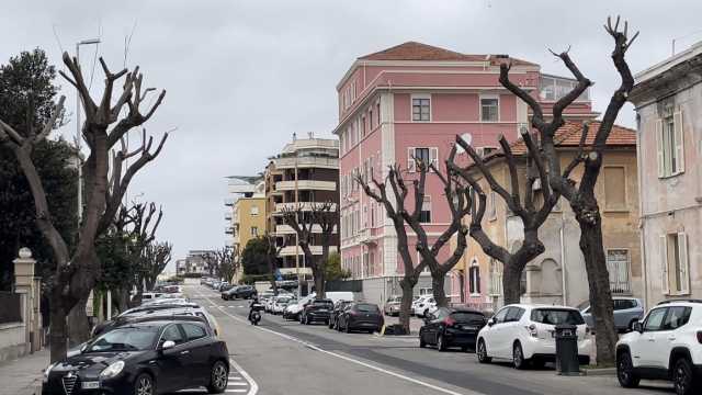 Gli alberi 