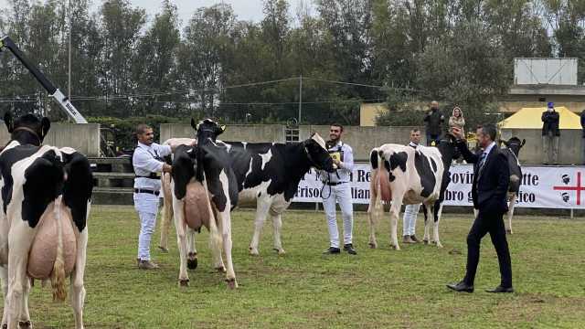 Immagine simbolo