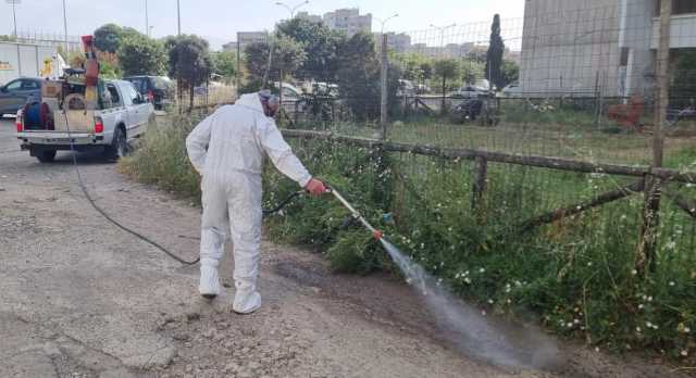 Disinfestazione piazza Lao Silesu