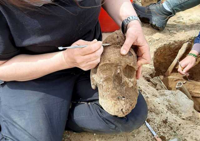 Nuovo gigante trovato in Sardegna 