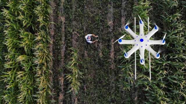 Droni in agricoltura