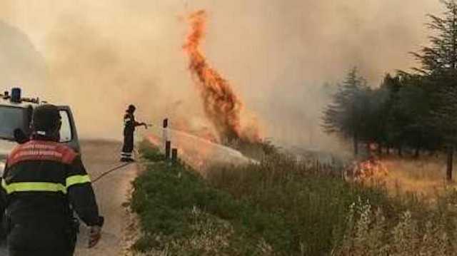 Incendio forestali