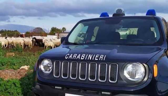 Ovile carabinieri