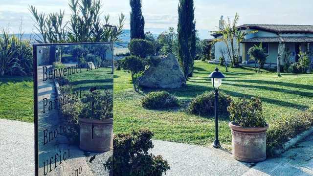 Rissa a Cantine aperte