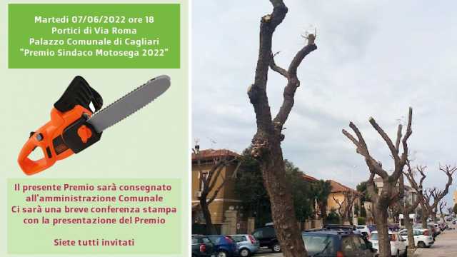 Premio motosega per il Comune