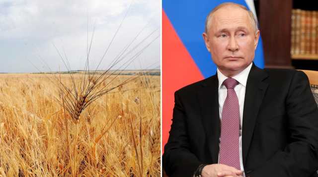 PUTIN GRANO