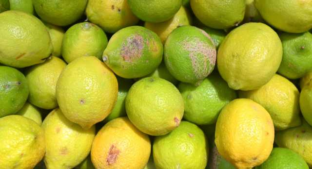 limoni